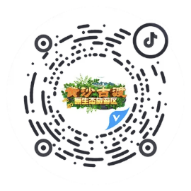 扫码关注 抖音号